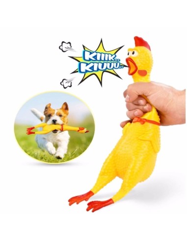FİLEDE ÖTEN HOROZ VİNİL 28CM