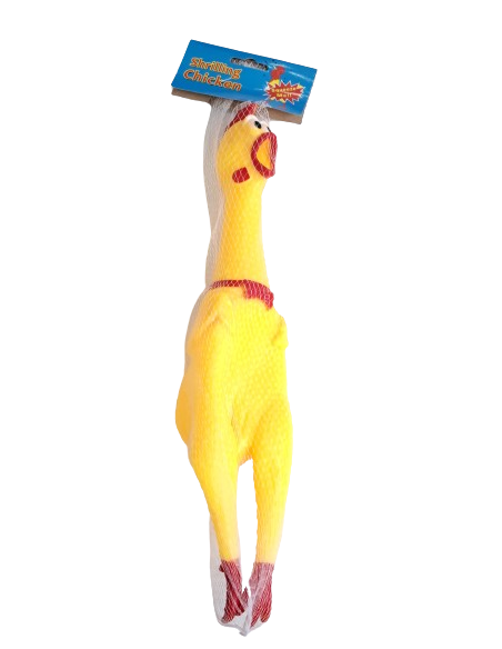 FİLEDE 35CM ÖTEN HOROZ VİNİL