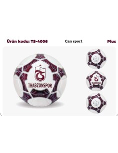 TS 430 GR TARAFTARLI FUTBOL... 2