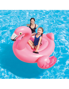 KUT.Flamingo Binici -...
