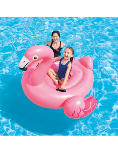 KUT.Flamingo Binici - Tutmaçlı Ada...