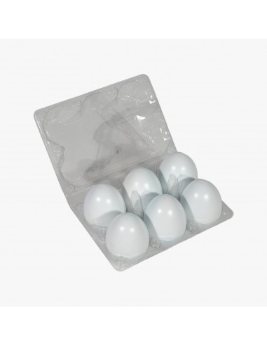 6'LI YUMURTA EŞLEŞTİRME 12 PCS